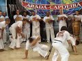 MOV01520.MPG