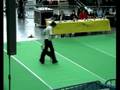 videos de DogDance Turnier Stuttgart 2008