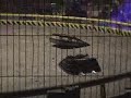 Mute Vs Dantomkia