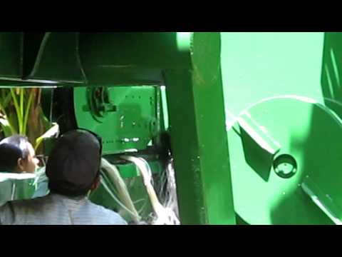 how to harvest abaca