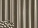 Matt Costa - T.V. Gods