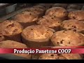 Produção Panetone