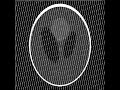 radon [64,64].avi