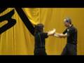 videos de Wing Chun Chi Sau Demo