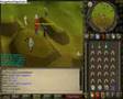 N00b 4 Lunch pk vid 1