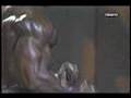 7-Musclemania-Bodybu