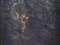 fmx
