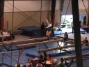 Judges Cup 2008 Beam Barney Judges Cup 2008 Beam Barney