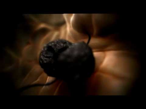 Dark Side of Tanning video