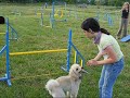 Pogi, Kiwi �s Kira edz�s 2008.05.17.