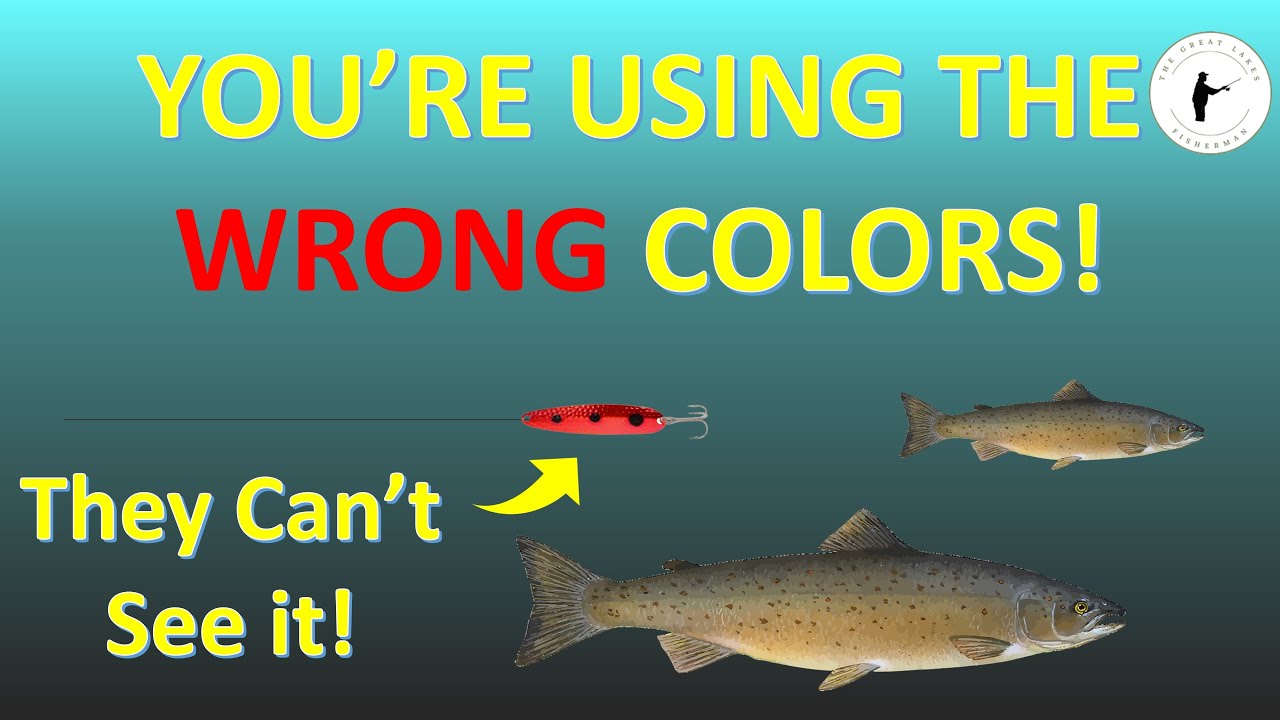 Selecting the Right Colors for Salmon Fishing