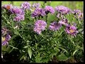 gardena-combi-system-tools.html