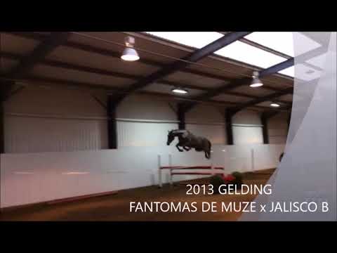 NEN TOFFE DE MUZE FREE JUMPING DECEMBER 2016