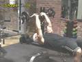 Triceps Exercises - Barbell Lying Tricep Extensions