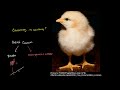 Dr. David Agus discusses thinking systemically about cancer and other things