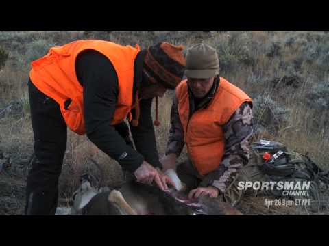 How To Gut a Deer