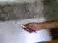 Agguato al cesso
