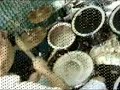yngwie fusion papudo yngwie fusion papudo