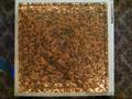The Collapse - Penny Pyramid - Guinness