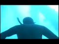 Okinawa Spearfishing