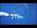 Okinawa Spearfishing