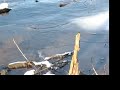 Rusty Bottom Ice