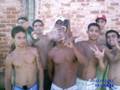 HLERA B.S.P