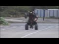 Banshee Wheelie\
