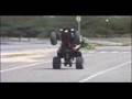 Banshee Wheelie's