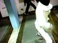 fencingmaskcamlelametrevigianeSABINA fencingmaskcamlelametrevigianeSABINA