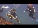 Yongala clip 3 Yongala clip 3