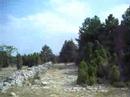 mosqueruela-iglesuela cid-paramo
