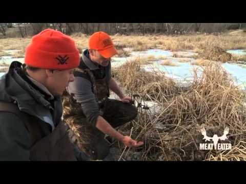 trapping - A super special, never-aired extended MeatEater scene! Steven Rinella and his buddy, Karl Malcolm, set beaver and muskrat traps in Southwestern Wisconsin, bu...