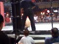 Aarons Cage fight