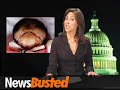 NewsBusted Conservative Comedy 157