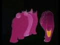 Dumbo Dumbo