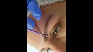 Microbladed eyebrows embroidery