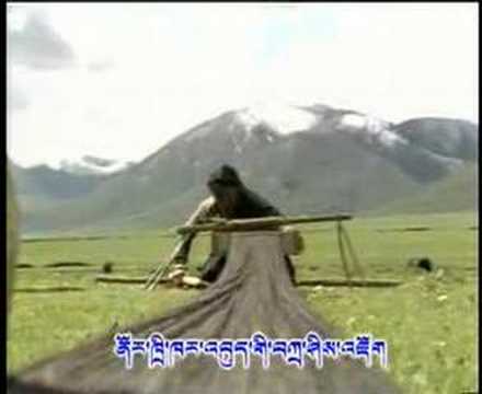 tibetan amdo