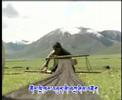 tibetan amdo 2
