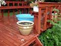 sirens sound for thunderstorm warning 7 4 07