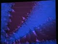9. Befyldsmor --- Pattern Diver Live