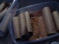 My Mealworm Colony! (I have baby mealies!!!)
