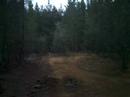 kilmo dh
