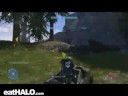 frenzy warthog