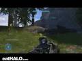 frenzy warthog