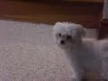CIMG2687.AVI