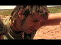 puff adder bite puff adder bite
