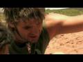 puff adder bite