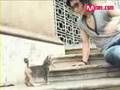 Sungmin play with kitten