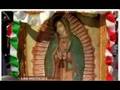 Festividad de Nuestra Se ora de Guadalupe 2007